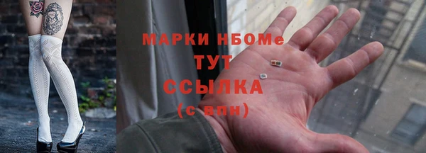шишки Алексин