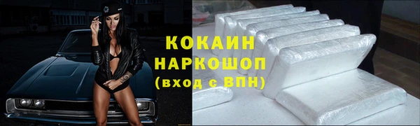 гашик Алзамай