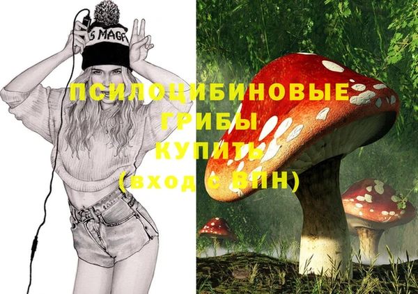 гашик Алзамай