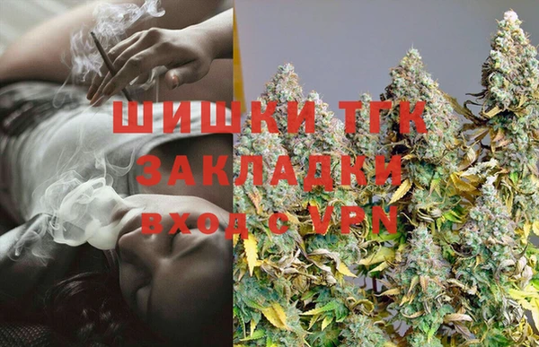 гашик Алзамай