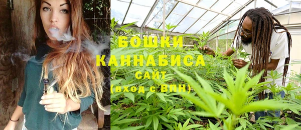 шишки Алексин