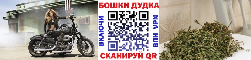 МАРИХУАНА тримм Киселёвск